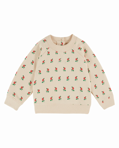 Emile & Ida – BB Sweater all-over bloemenprint crème (AC179)