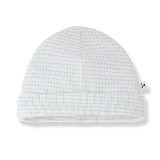 1+ in the family - Beanie - Green