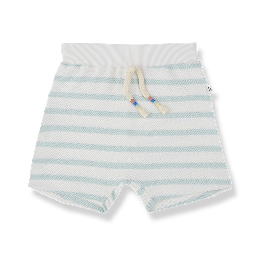 1+ in the family - Bermuda - Green